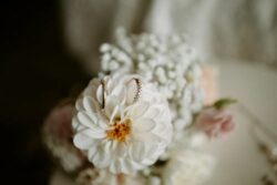 Cette photo IMG-20241231-WA0127.jpg, a été réduite de 79.26 % le Samedi 04 Octobre 2025 à 07:10 par Emjysoft Photo Réducteur v6.0 à télécharger sur https://www.emjysoft.com/