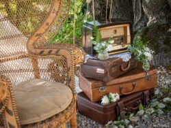 Cette photo Chateau et Ceremonie Laique (12).jpg, a été réduite de 99.43 % le Samedi 22 Novembre 2025 à 08:11 par Emjysoft Photo Réducteur v6.0 à télécharger sur https://www.emjysoft.com/